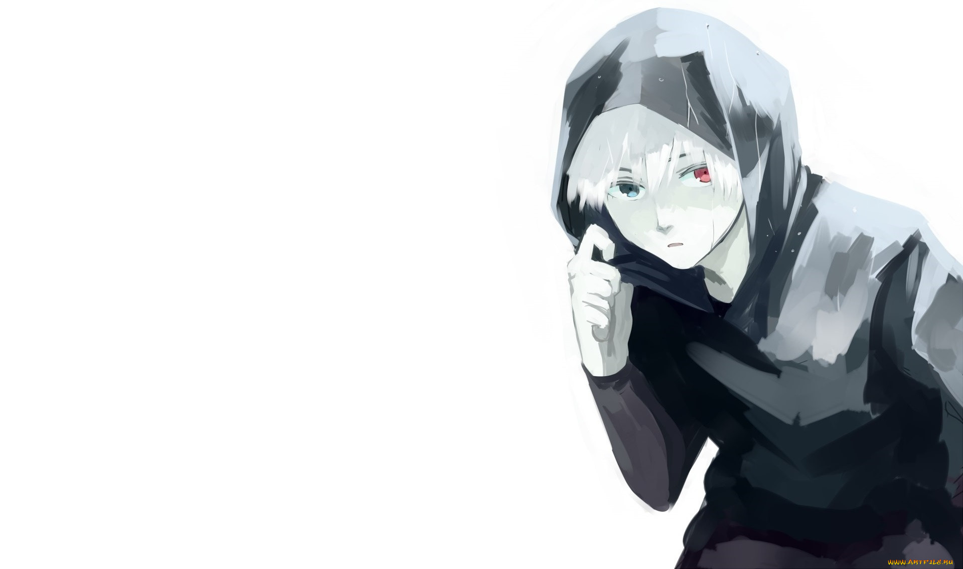 , tokyo ghoul, 